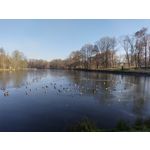 Zdjęcia użytkowników HTC Desire 22 Pro