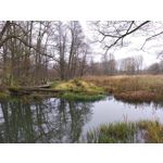 Zdjęcia użytkowników HTC Desire 22 Pro