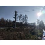 Zdjęcia użytkowników HTC Desire 22 Pro