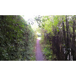 Zdjęcia użytkowników HTC Desire 500 Zdjęcia użytkowników HTC Desire 500