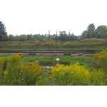 Zdjęcia użytkowników HTC Desire 500 Zdjęcia użytkowników HTC Desire 500