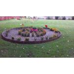 Zdjęcia użytkowników HTC Desire 510