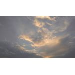 Zdjęcia użytkowników HTC Desire 510