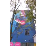 Zdjęcia użytkowników HTC Desire 510