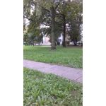 Zdjęcia użytkowników HTC Desire 510