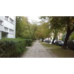 Zdjęcia użytkowników HTC Desire 510