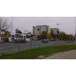 Zdjęcia użytkowników HTC Desire 510