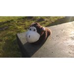 Zdjęcia użytkowników HTC Desire 816