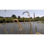 Zdjęcia użytkowników HTC Desire 820