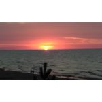 Zdjęcia użytkowników HTC Desire 820