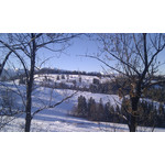 Zdjęcia użytkowników HTC Desire