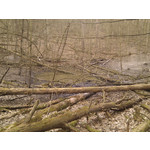 Zdjęcia użytkowników HTC Desire