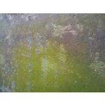 Zdjęcia użytkowników HTC Dream
