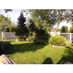 ZDJĘCIA Z TEGO TELEFONU ZDJĘCIA Z TEGO TELEFONU