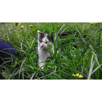 ZDJĘCIA Z TEGO TELEFONU ZDJĘCIA Z TEGO TELEFONU