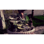 Zdjęcia użytkowników HTC EVO 3D