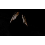 Zdjęcia użytkowników HTC HD2