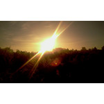 Zdjęcia użytkowników HTC HD2