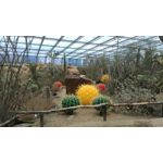 ZDJĘCIA Z TEGO TELEFONU