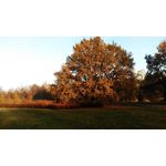 Zdjęcia użytkowników HTC One E8 Zdjęcia użytkowników HTC One E8