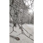 Zdjęcia użytkowników HTC One M8