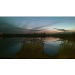 Zdjęcia użytkowników HTC One M8
