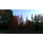Zdjęcia użytkowników HTC One M8