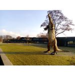 Zdjęcia użytkowników HTC One M9 Prime Camera Edition