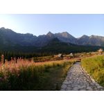 ZDJĘCIA Z TEGO TELEFONU