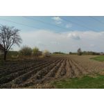 Zdjęcia użytkowników HTC One M9 Zdjęcia użytkowników HTC One M9