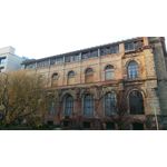 Zdjęcia użytkowników HTC One M9 Zdjęcia użytkowników HTC One M9