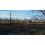 Zdjęcia użytkowników HTC One M9 Zdjęcia użytkowników HTC One M9