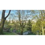 Zdjęcia użytkowników HTC One M9 Zdjęcia użytkowników HTC One M9