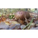 Zdjęcia użytkowników HTC One M9 Zdjęcia użytkowników HTC One M9