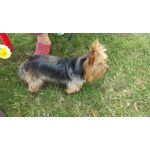 Zdjęcia użytkowników HTC One M9 Zdjęcia użytkowników HTC One M9