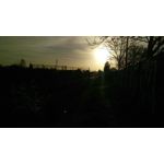 Zdjęcia użytkowników HTC One M9 Zdjęcia użytkowników HTC One M9