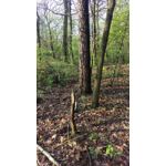 Zdjęcia użytkowników HTC One M9 Zdjęcia użytkowników HTC One M9