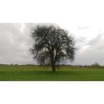 Zdjęcia użytkowników HTC One M9 Zdjęcia użytkowników HTC One M9