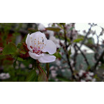 Zdjęcia użytkowników HTC One S