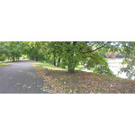 Zdjęcia użytkowników HTC One V Zdjęcia użytkowników HTC One V