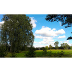 Zdjęcia użytkowników HTC One V Zdjęcia użytkowników HTC One V