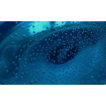 ZDJĘCIA Z TEGO TELEFONU