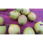 Zdjęcia użytkowników HTC One V Zdjęcia użytkowników HTC One V