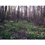 Zdjęcia użytkowników HTC One X