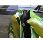 Zdjęcia użytkowników HTC One X