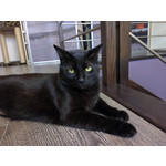 Zdjęcia użytkowników HTC One X