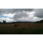 ZDJĘCIA Z TEGO TELEFONU