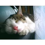 ZDJĘCIA Z TEGO TELEFONU