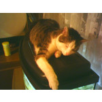 ZDJĘCIA Z TEGO TELEFONU