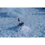 ZDJĘCIA Z TEGO TELEFONU